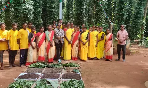 40 लाख में बनने वाला पॉली हाउस डेढ़ लाख में बनाइये, जानिए नेचुरल ग्रीन हाउस को क्यों कहा जा रहा है खेती का गेम चेंजर