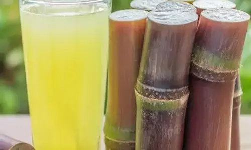Sugarcane Juice: अगर आपके अंदर भी है इम्यूनिटी की कमी तो खाली पेट पिए गन्ने का रस, बढ़ जाएगी इम्यूनिटी, बॉडी को मिलेंगे यह लाभ