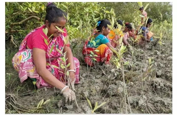 सुंदरबन को बचाने के लिए आगे आईं स्थानीय महिलाएं