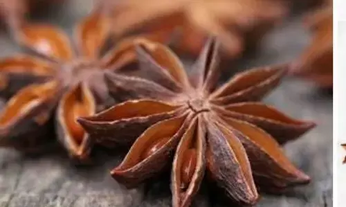 अगर आपको भी बढ़ानी है अपनी इम्यूनिटी, तो पिए चक्र फूल का पानी