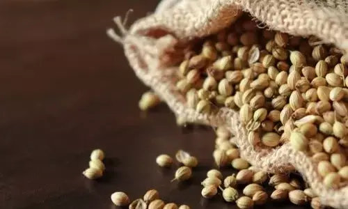 धनिया के बारे में वो सब कुछ जो आपको जानना चाहिए