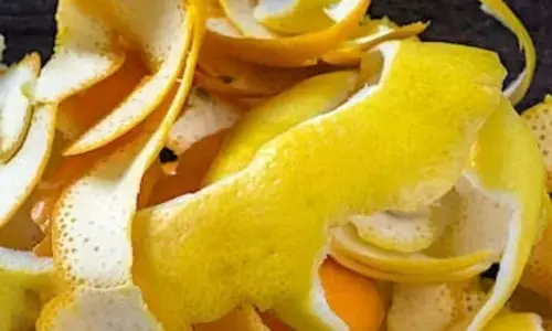 Lemon Peel: नींबू के छिलकों का यह इस्तेमाल जानकर हैरान हो जाएंगे आप, आगे से कभी नहीं फेकेंगे नींबू के छिलके Lemon Peel: नींबू के छिलकों का यह इस्तेमाल जानकर हैरान हो जाएंगे आप, आगे से कभी नहीं फेकेंगे नींबू के छिलके