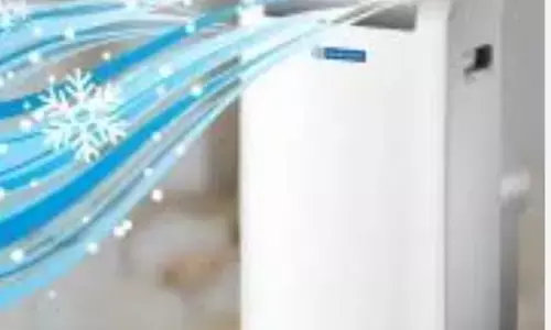 इस गर्मी आप रहे कूल और पसीने को जाए भूल, मिल रहा है चलता फिरता है AC, बिजली का बिल भी आएगा कम