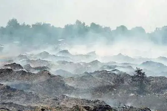 नोएडा में लाखों लोगों को सांस लेने में दिक्कत, जानिए क्यों हुआ ये हाल? नोएडा में लाखों लोगों को सांस लेने में दिक्कत, जानिए क्यों हुआ ये हाल?