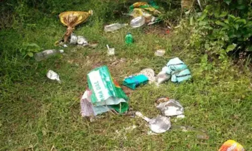 जलपाईगुड़ी में शनिवार को चाय बागान के 75 मजदूरों पर हाथी ने किया हमला