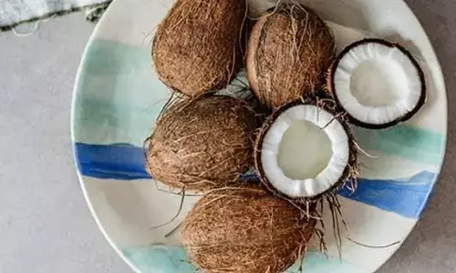 Money Remedies: अगर आप को भी है आर्थिक तंगी, कमाने के बाद भी नहीं रुक रहा है पैसा, तो आज ही करें नारियल का यह उपाय