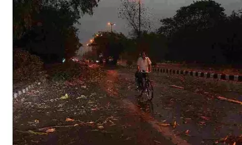 दिल्ली में हुई बारिश और चली तेज हवाएं सड़क यातायात भी हुआ प्रभावित, आईएमडी ने दी यह चेतावनी