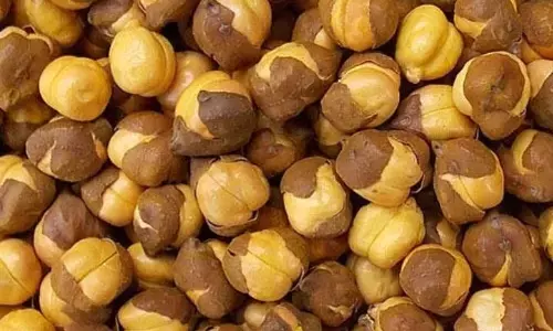 भुना हुआ चना: आश्चर्यजनक स्वास्थ्य लाभों वाला कुरकुरे सुपरफूड! भुना हुआ चना: आश्चर्यजनक स्वास्थ्य लाभों वाला कुरकुरे सुपरफूड!