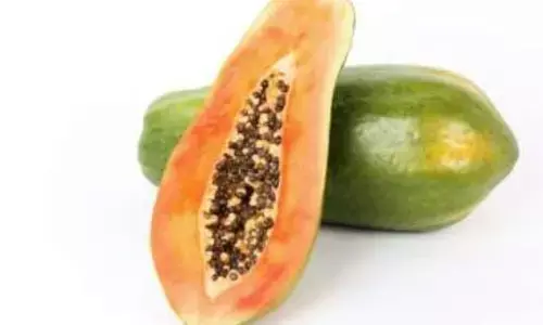 क्या आपको पता है कि पपीते के बाद क्या नहीं खाना चाहिए जान ले नहीं तो फायदे की जगह हो जाएगा नुकसान