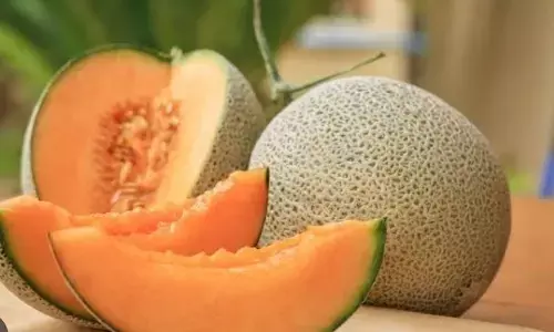 क्या आपको पता है खरबूजे के गुण? क्या आपको पता है खरबूजे के गुण?