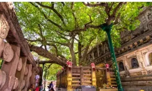 अगर आप भी गौतम बुद्ध के अनुयाई हैं, तो गौतम बुध को जानने के लिए जरूर जाएं इन 4 जगहों पर अगर आप भी गौतम बुद्ध के अनुयाई हैं, तो गौतम बुध को जानने के लिए जरूर जाएं इन 4 जगहों पर