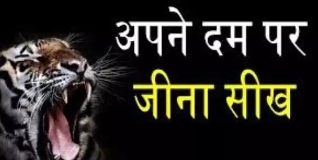 अपने दम पर जीवन जीना अच्छा है या बुरा फैसला: जानिए अपने दम पर जीवन जीना अच्छा है या बुरा फैसला: जानिए