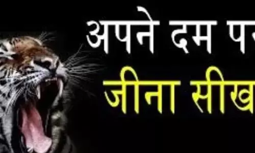 अपने दम पर जीवन जीना अच्छा है या बुरा फैसला: जानिए अपने दम पर जीवन जीना अच्छा है या बुरा फैसला: जानिए