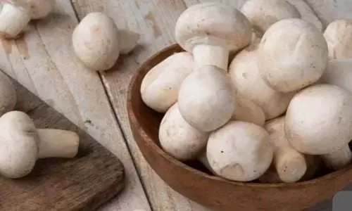 इस एक सब्जी का अगर करते हैं इस तरह से सेवन, तो नहीं होगी कभी कैल्शियम की कमी इस एक सब्जी का अगर करते हैं इस तरह से सेवन, तो नहीं होगी कभी कैल्शियम की कमी