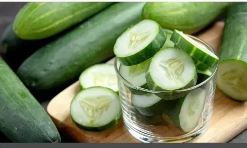 इस गर्मी अगर आप भी खाते हैं खीरा, तो कहीं पर बढ़ ना जाए आपकी पीड़ा जाने कब और कैसे खाएं ??