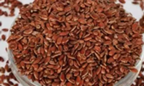 अलसी के गुणों को जानकर हैरान हो जाएंगे आप जाने किस तरह से फायदेमंद है यह आपके लिए