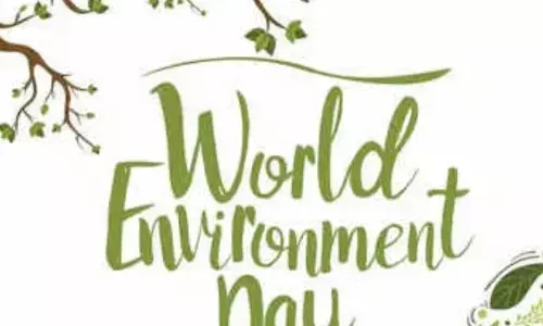 विश्व पर्यावरण दिवस: इस वर्ष आप पर्यावरण में कैसे योगदान देंगे? विश्व पर्यावरण दिवस: इस वर्ष आप पर्यावरण में कैसे योगदान देंगे?