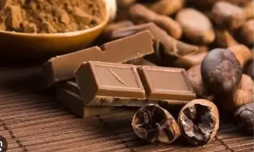 द स्वीट पोटेंशियल: होममेड चॉकलेट बिजनेस कैसे शुरू करें