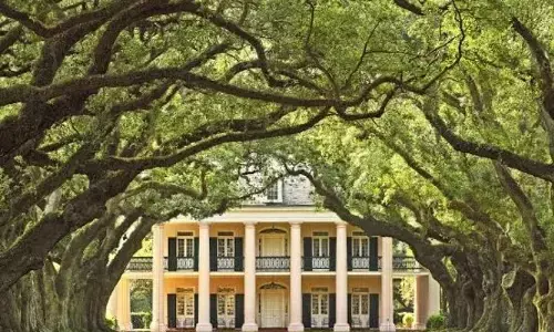 वास्तु के अनुसार हाउस प्लांटेशन करने के क्या है फायदे?