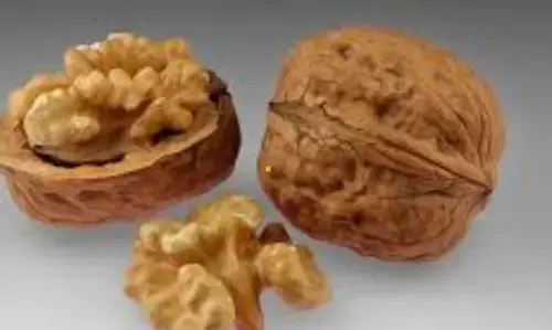 अखरोट खाने का सही समय और इसके फायदे