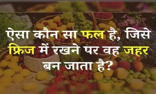 Quiz: जानिए किस फल को नहीं रखना चाहिए फ्रिज में वरना बन जाएगा यह फल जहर Quiz: जानिए किस फल को नहीं रखना चाहिए फ्रिज में वरना बन जाएगा यह फल जहर