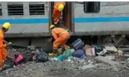 ओडिशा ट्रेन हादसे के बाद एनडीआरएफ जवानों की,की जा रही है काउंसलिंग ओडिशा ट्रेन हादसे के बाद एनडीआरएफ जवानों की,की जा रही है काउंसलिंग