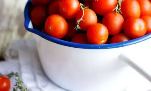 टमाटर आपके दैनिक भोजन में क्यों महत्वपूर्ण है