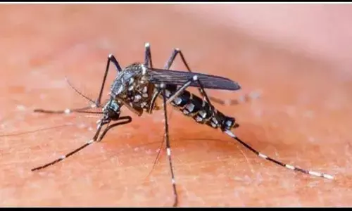 क्या चिकनगुनिया का टीका प्रभावी होता है?क्या इसे लगवाना सही होता है? जानिए इन सब प्रश्नों के उत्तर क्या चिकनगुनिया का टीका प्रभावी होता है?क्या इसे लगवाना सही होता है? जानिए इन सब प्रश्नों के उत्तर