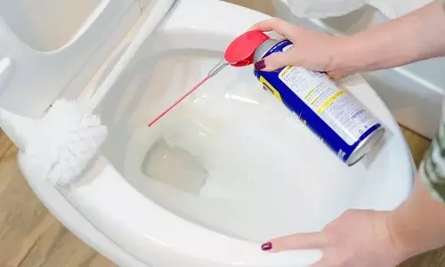 समय समय पर क्यों ज़रूरी है बाथरूम क्लीनिंग समय समय पर क्यों ज़रूरी है बाथरूम क्लीनिंग