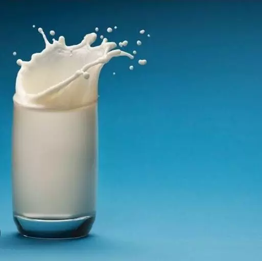 गाय का दूध हमारे शरीर के लिए क्यों जरूरी है जानिए इसके फायदे