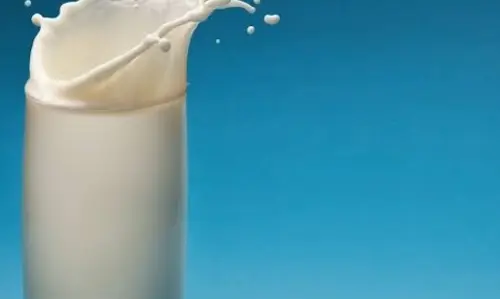 गाय का दूध हमारे शरीर के लिए क्यों जरूरी है जानिए इसके फायदे गाय का दूध हमारे शरीर के लिए क्यों जरूरी है जानिए इसके फायदे