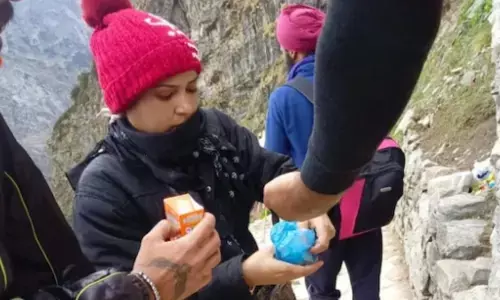 जानिए कैसे दिया गया लेट्स कैच द क्वीन बी को अंजाम? जानिए कैसे दिया गया लेट्स कैच द क्वीन बी को अंजाम?