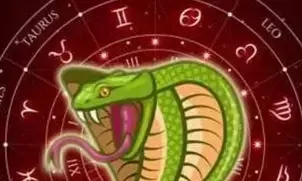 Kaal Sarp Yog: अगर आपकी कुंडली में भी आपको सता रहा है कालसर्प योग, तो सावन में करें यह खास उपाय Kaal Sarp Yog: अगर आपकी कुंडली में भी आपको सता रहा है कालसर्प योग, तो सावन में करें यह खास उपाय