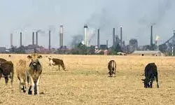 गरीबी, जलवायु संकट से निपटने पर आम सहमति के लिए वैश्विक नेता होंगे पेरिस में एकत्रित