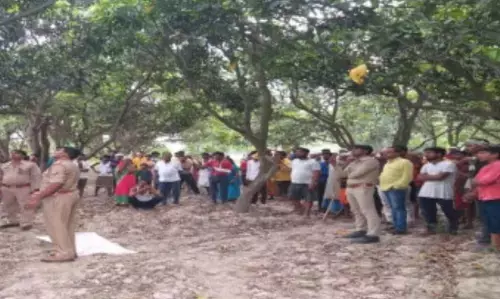 सुलतानपुर जिले में आम की बाग में पेड़ से लटकता मिला युवती शव