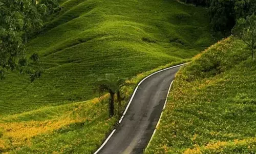 कूर्ग: कॉफ़ी, झरने और वन्य जीवन की भूमि