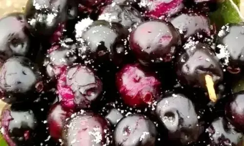 जानिए इस गर्मी जामुन खाने के 5 फायदे होगा लाभ ही लाभ