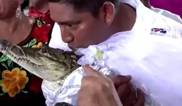 OMG..!! इस शहर के मेयर ने रचाई मगरमच्‍छ से शादी, वजह जानकर हैरान रह गई दुनिया