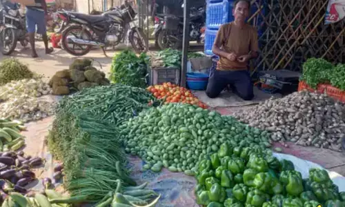 सब्जियों के उत्पादन में 70 % की कमी,आलू और प्याज को छोड़कर हरी सब्जियां ₹50 के पार, टमाटर-अदरक ने तोड़ा रिकॉर्ड सब्जियों के उत्पादन में 70 % की कमी,आलू और प्याज को छोड़कर हरी सब्जियां ₹50 के पार, टमाटर-अदरक ने तोड़ा रिकॉर्ड