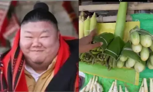 अंतर्राष्ट्रीय प्लास्टिक बैग मुक्त दिवस 2023: नागालैंड में जैविक पैकेजिंग का वीडियो आया सामने अंतर्राष्ट्रीय प्लास्टिक बैग मुक्त दिवस 2023: नागालैंड में जैविक पैकेजिंग का वीडियो आया सामने