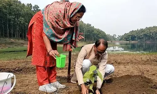 सिर्फ सेल्फ़ी के लिए नहीं, अब पौधे ग्रीन क्रेडिट के लिए लगाएँ