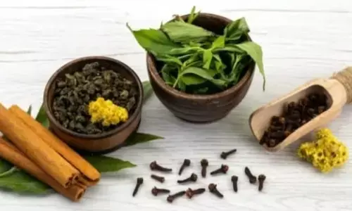 मानसून स्वास्थ्य: बरसात के मौसम में आपकी रोग प्रतिरोधक क्षमता बढ़ाने के लिए 5 जड़ी-बूटियाँ मानसून स्वास्थ्य: बरसात के मौसम में आपकी रोग प्रतिरोधक क्षमता बढ़ाने के लिए 5 जड़ी-बूटियाँ