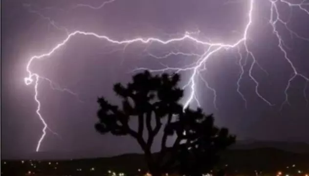 पूरे यूपी में बिजली गिरने से 21 लोगों की हो गई मौत, कई हो गए घायल पूरे यूपी में बिजली गिरने से 21 लोगों की हो गई मौत, कई हो गए घायल