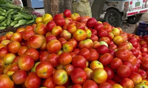 рдХрд░реНрдирд╛рдЯрдХ рдХреЗ рд╣рд╕рди рдЬрд┐рд▓реЗ рдореЗрдВ тВ╣ 1.5 рд▓рд╛рдЦ рдХреЗ рдЯрдорд╛рдЯрд░ рд╣реЛ рдЧрдП рдЪреЛрд░реА рдХрд░реНрдирд╛рдЯрдХ рдХреЗ рд╣рд╕рди рдЬрд┐рд▓реЗ рдореЗрдВ тВ╣ 1.5 рд▓рд╛рдЦ рдХреЗ рдЯрдорд╛рдЯрд░ рд╣реЛ рдЧрдП рдЪреЛрд░реА