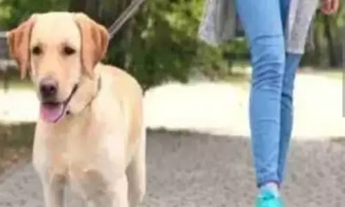 दिल्ली के ग्रेटर कैलाश के फ्लैट में कैद कर रखे गए 14 कुत्तों का किया गया रेस्क्यू