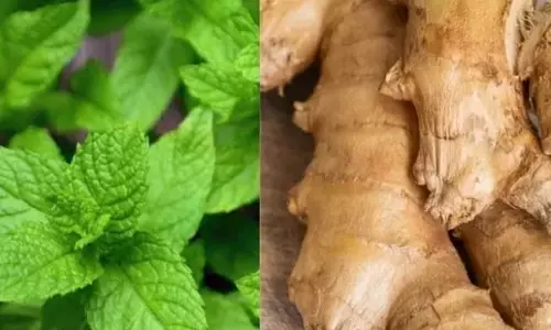 अदरक, तुलसी से लेकर काली मिर्च तक: मानसून में आपको स्वस्थ रखने के लिए 5 सुपरफूड