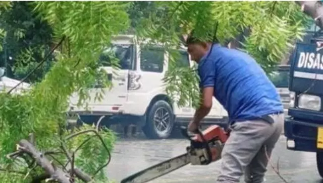 विशेषज्ञों ने कहा दिल्ली में है देखभाल की कमी विशेषज्ञों ने कहा दिल्ली में है देखभाल की कमी