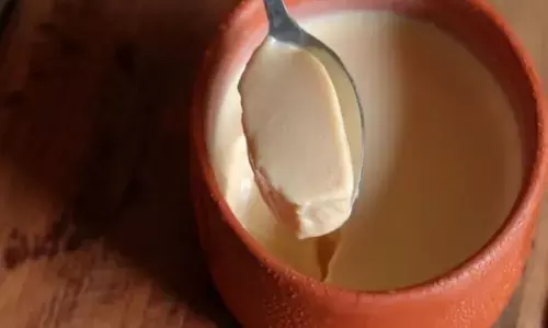 मिस्टी दोई रेसिपी: घर पर बनाएं बंगाल की खास मिठाई, देखे आसान स्टेप्स