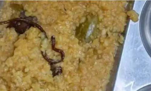 यूपी के दो सरकारी स्कूलों में मिड-डे मील मैं मिले कीड़े 40 छात्र बीमार यूपी के दो सरकारी स्कूलों में मिड-डे मील मैं मिले कीड़े 40 छात्र बीमार