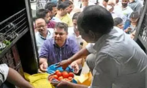 टमाटर की कीमतों में 90 रुपये की गिरावट, केंद्र ने रियायती कीमत पर बेचा टमाटर की कीमतों में 90 रुपये की गिरावट, केंद्र ने रियायती कीमत पर बेचा